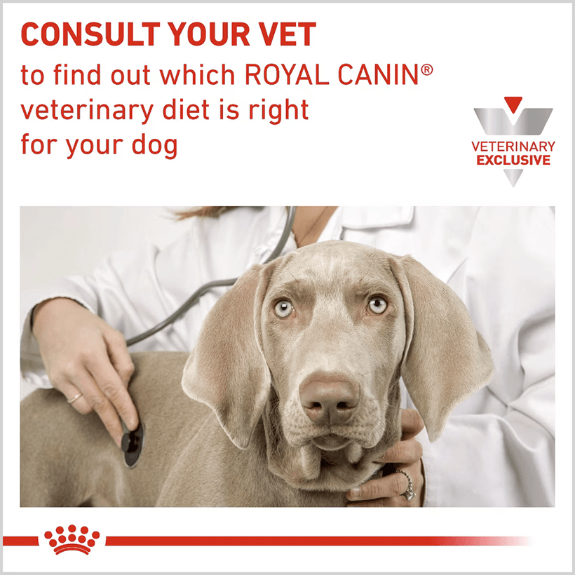 Royal Canin Hydrolyzed Protein Adult Wet Dog Consult Your Vet