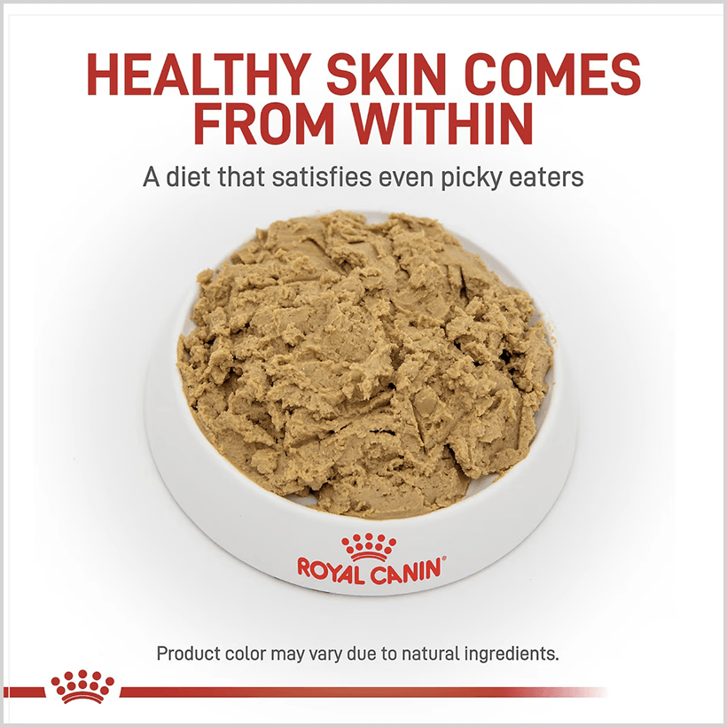 Royal Canin Hydrolyzed Protein Adult Wet Dog Healthy Skin