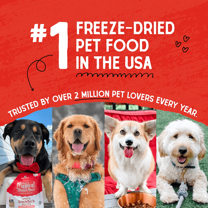 Stella & Chewy's Raw Coated Cage-Free Chicken Recipe 1 Freeze Dried Food in USA