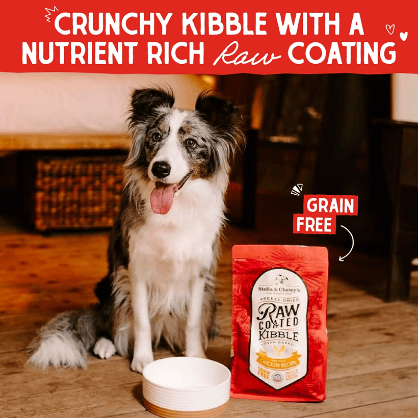 Stella & Chewy's Raw-Coated Cage-Free Chicken Recipe Nutrient Rich
