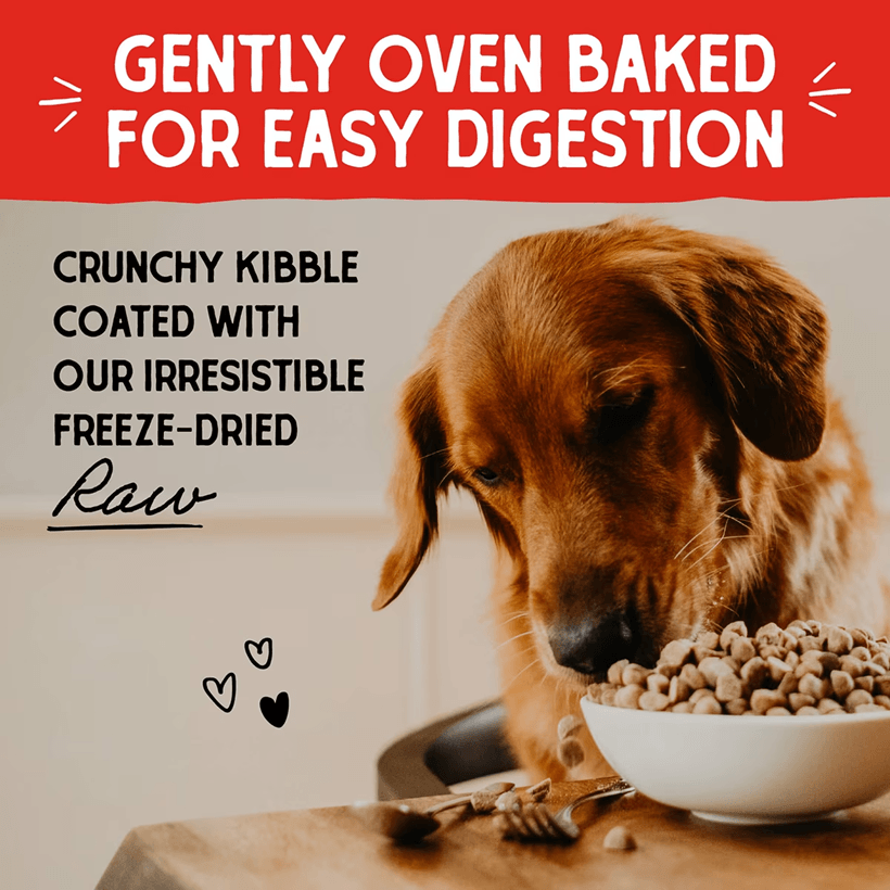 Stella & Chewy's Raw-Coated Cage-Free Chicken Recipe Oven Baked