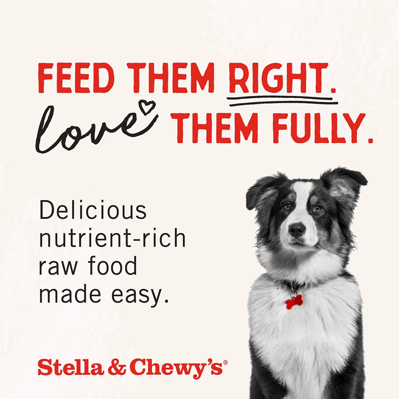 Stella & Chewy's Raw-Coated Cage-Free Chicken Recipe Right Feeding