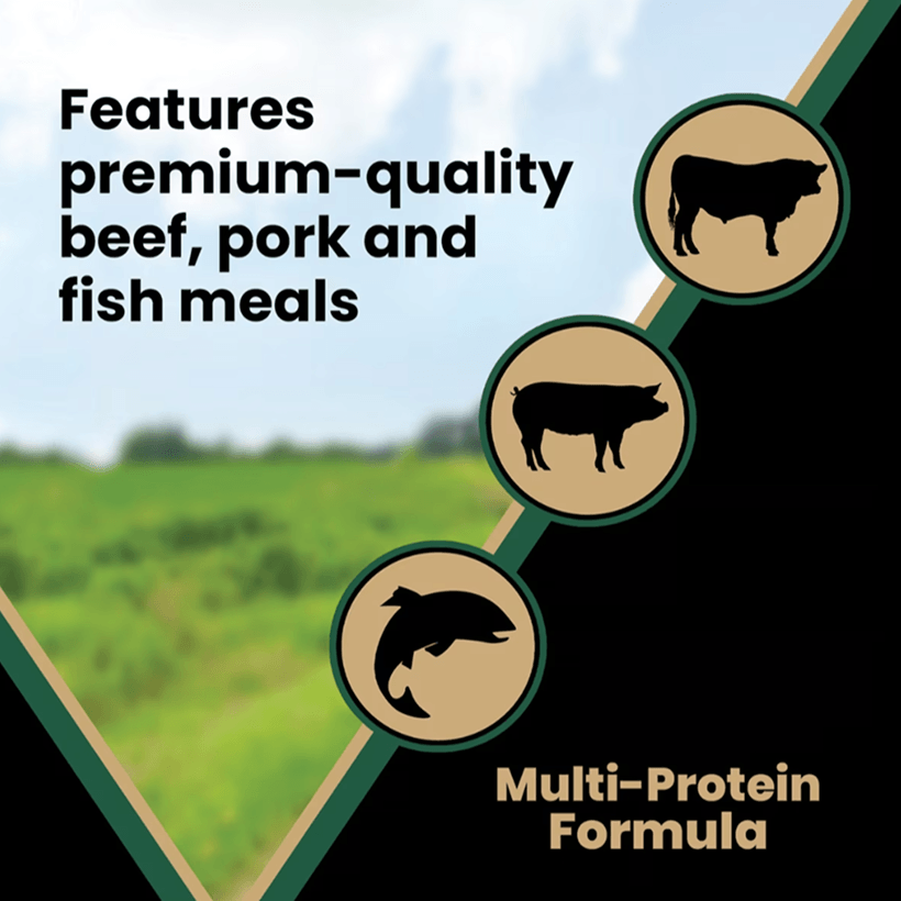 VICTOR Grain Free Hero Canine Multi Protein