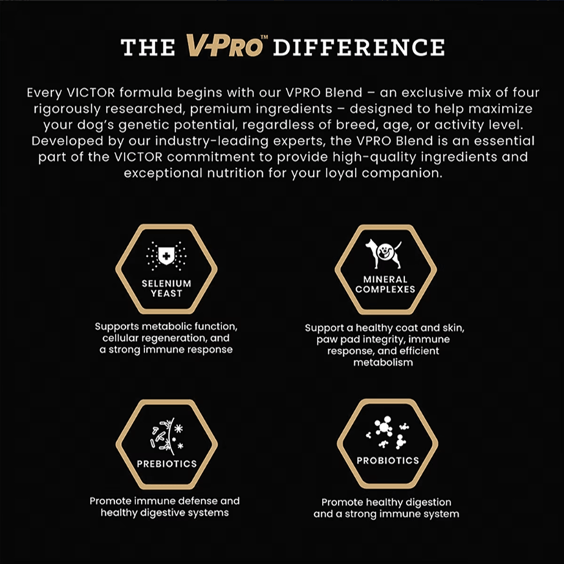 VICTOR Grain Free Hero Canine VPro