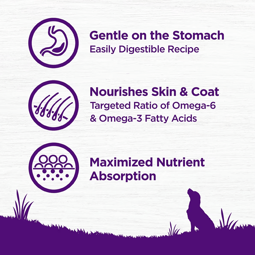 Wellness Complete Health Sensitive Skin And Stomach Adult Goodies