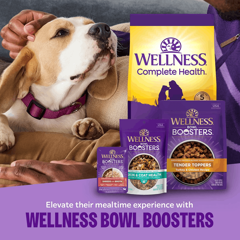 Wellness Complete Health Sensitive Skin And Stomach Adult Wellness Bowl Boosters